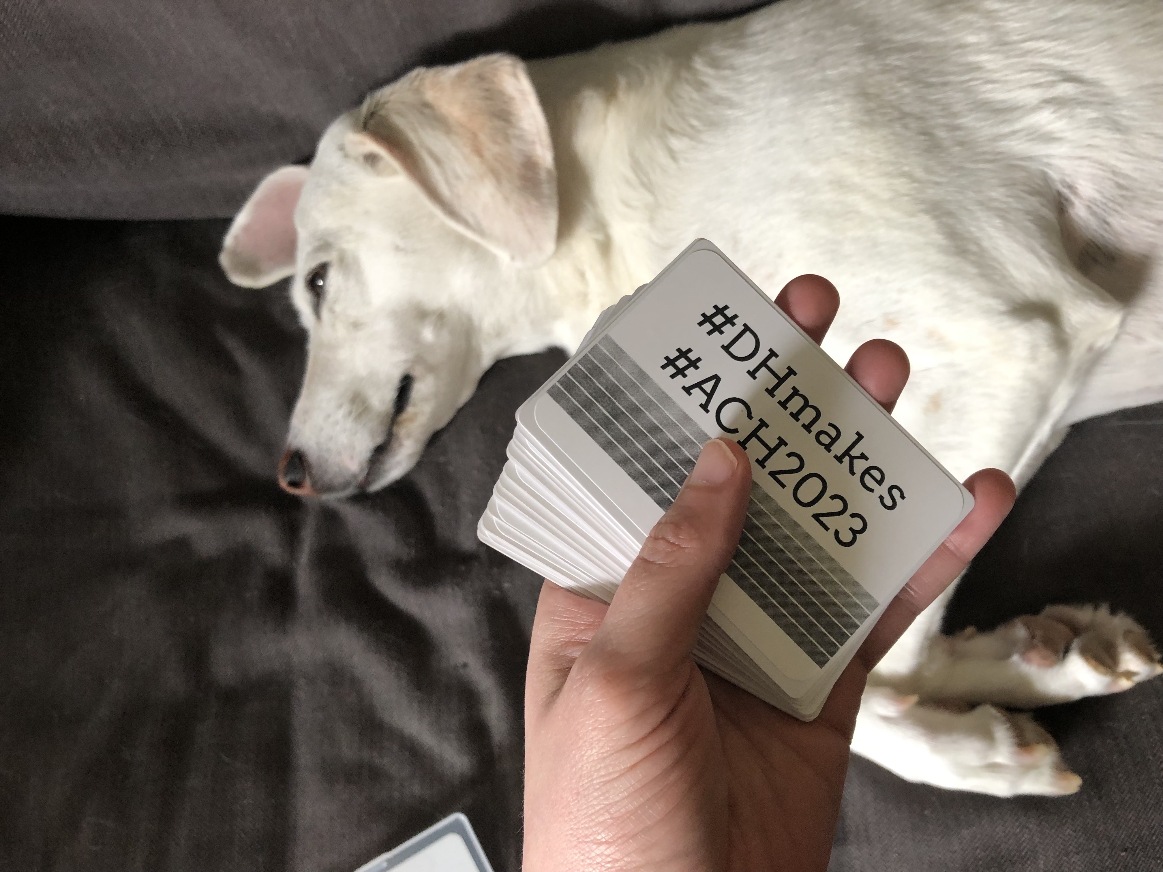 Photo of a hand holding a deck of cards slightly fanned out; the top of the top card says "#DHmakes #ACH2023" over a gradient design; there is a white dog slightly out of fous in the background behind the cards, but it is clear that the dog is a good dog